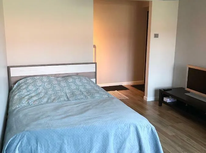 1-bedroom In Centre 派德